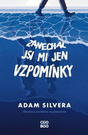 Zanechal jsi mi jen vzpomínky - Kniha
