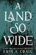 A Land So Wide: A Novel - Kniha