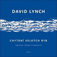 Chytání velkých ryb: Meditace, vědomí a kreativita - Kniha