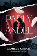 Padlý anděl - Kniha