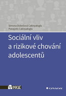 Sociální vliv a rizikové chování adolescentů - Kniha
