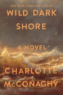 Wild Dark Shore: A Novel - Kniha