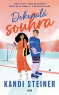 Dokonalá souhra - Kniha