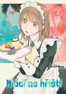 Mládí na hřišti 8: Než kytka rozkvete - Kniha