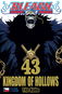 Bleach Kingdom of Hollows - Kniha