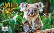 BB ART Cubs Wild life 2026 - Desk Calendar
