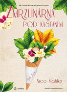 Zmrzlinárna pod kaštanem - Kniha