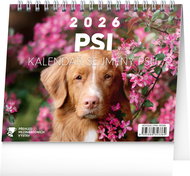 NOTIQUE Psi 2026 - Desk Calendar