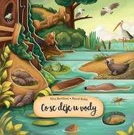 Co se děje u vody - Kniha