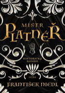 Mistr platnéř - Kniha