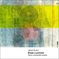 Eseje z pomezí: Texty o konkrétní poezii - Kniha