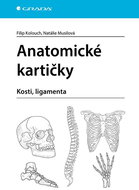 Anatomické kartičky: kosti, ligamenta - Kniha