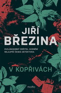V kopřivách - Kniha