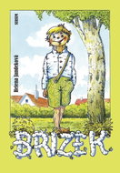 Břízek - Kniha