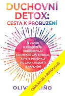 Duchovní detox Cesta k probuzení - Kniha