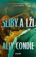 Sliby a lži - Kniha