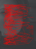 Chvála odchýlok: Slovenská poézia a preklad po roku 1989 - Kniha