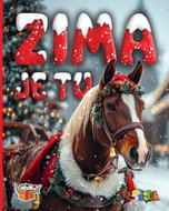 Zima je tu - Kniha