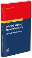 Vybrané kapitoly pracovního práva: S příklady a judikaturou - Kniha