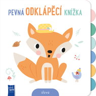 Pevná odklápěcí knížka Slova - Kniha