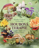 Houbová terapie: Léčivé elixíry pro zdraví i krásu - Kniha