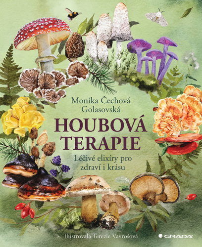 Houbová terapie: Léčivé elixíry pro zdraví i krásu Main image Houbová terapie: Léčivé elixíry pro zdraví i krásu - Kniha - Main image