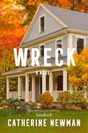 Wreck: A Novel - Kniha