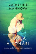 Búrka v pohári - Kniha