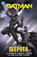 Batman Slepota - Kniha