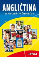 Angličtina stručná mluvnice - Kniha