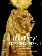 Lékařství starých Egypťanů I.: Staoregyptská chirurgie Péče o ženu a dítě - Kniha