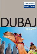 Dubaj do kapsy - Kniha