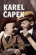 Obyčejný život - Kniha
