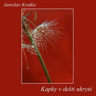 Kapky v dešti ukryté - Kniha