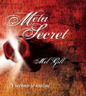 Meta Secret: Všechno je možné - Kniha
