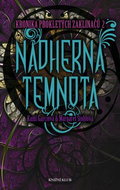 Nádherná temnota: Kronika prokletých zaklínačů 2 - Kniha