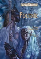 Poutník: Hvězdný třpyt a stíny 3 - Kniha