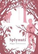Splynutí - Kniha