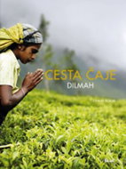 Cesta čaje Dilmah - Kniha