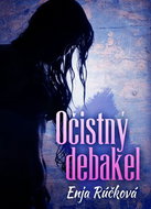 Očistný debakel - Kniha