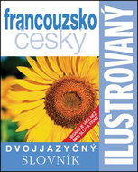 Ilustrovaný francouzsko český dvojjazyčný slovník: Obsahuje více než 6000 slov a frází - Kniha
