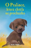 O pralince, která chtěla na procházku - Kniha