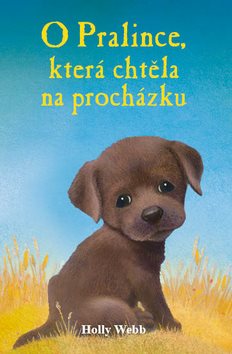 O pralince, která chtěla na procházku - Kniha - Main image