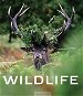 Wildlife - Kniha