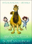Anička skřítek a Slaměný Hubert - Kniha