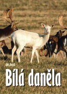 Bílá daněla - Kniha