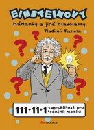 Einsteinovy hádanky a jiné hlavolamy: 111+11+1 zapeklitost pro trénink mozku - Kniha