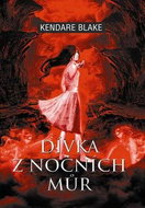 Dívka z nočních můr - Kniha