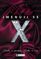 Jmenuji se X: Láska, co spaluje. Touha, co ničí. - Kniha