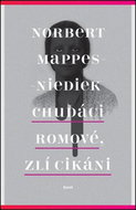 Chudáci Romové, zlí Cikáni - Kniha